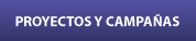 proyectos